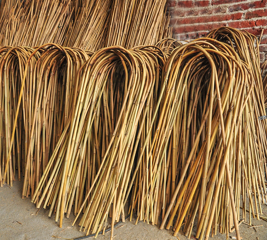 Bamboo U Shape